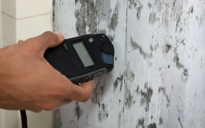 5 Signs That You Have Mold Growth In Your Home