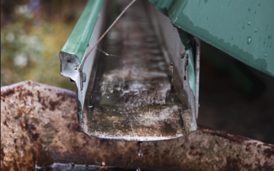 Proper Grading and Drainage Around a Home